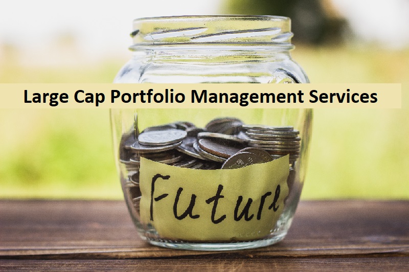 What is a Large Cap Portfolio Management Services